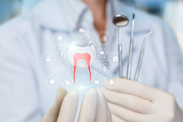 Best Dental Fillings (Composite and Amalgam)  in Naples Park, FL
